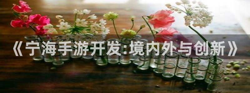 非凡游戏：《宁海手游开发:境内外与创新》