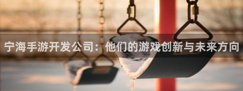 非凡游戏app最新版：宁海手游开发公司：他们的游戏创新与未来