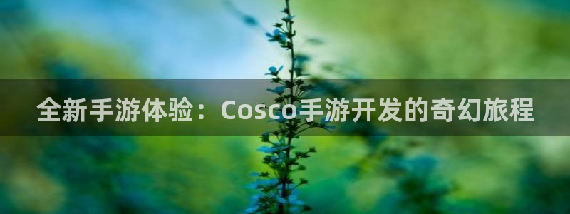 28大神苹果怎么下载：全新手游体验：Cosco手游开发的奇幻