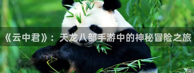 大神吧论坛28预测：《云中君》：天龙八部手游中的神秘冒险之旅