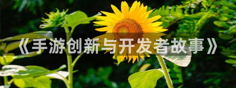 pc非凡游戏下载：《手游创新与开发者故事》