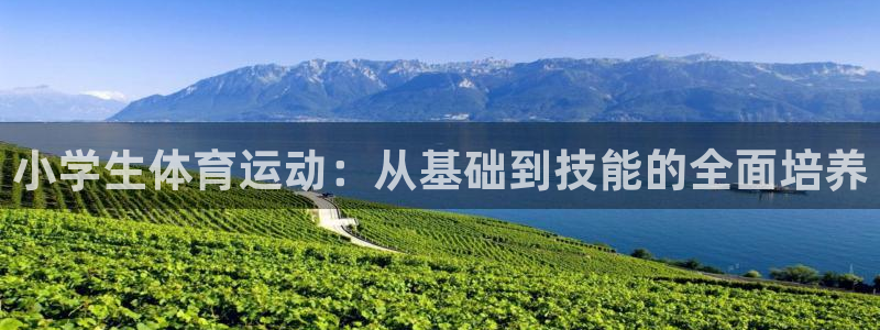 oety欧亿：小学生体育运动：从基础到技能的全面培养