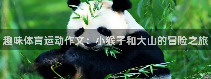 oety欧亿：趣味体育运动作文：小猴子和大山的冒险之旅