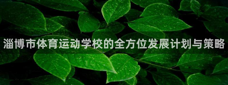 oety欧亿：淄博市体育运动学校的全方位发展计划与策略