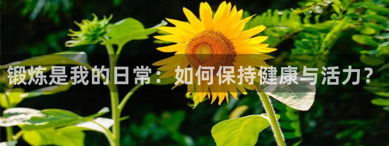 oety欧亿：锻炼是我的日常：如何保持健康与活力？